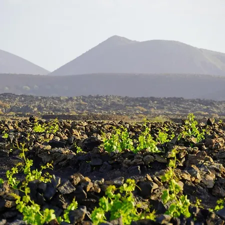 Casa Huertas Feriehus *